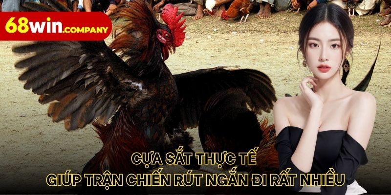Cựa sắt thực tế giúp trận chiến rút ngắn đi rất nhiều