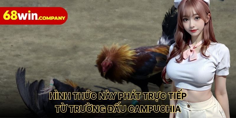 Hình thức này phát trực tiếp từ trường đấu Campuchia