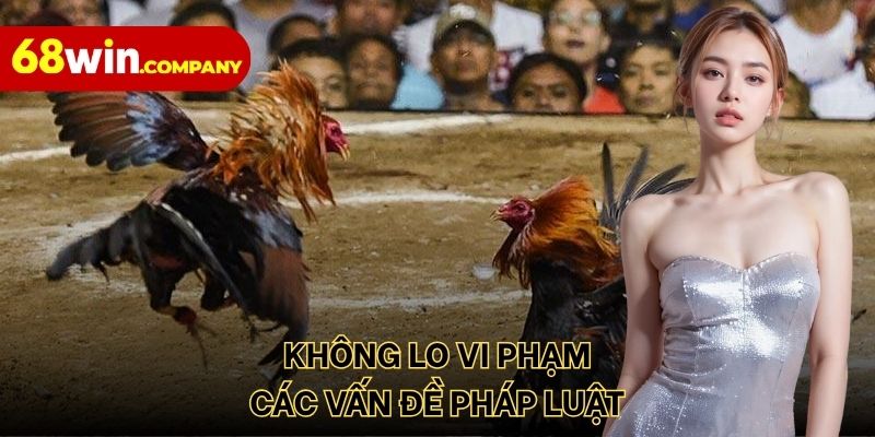 Không lo vi phạm các vấn đề pháp luật
