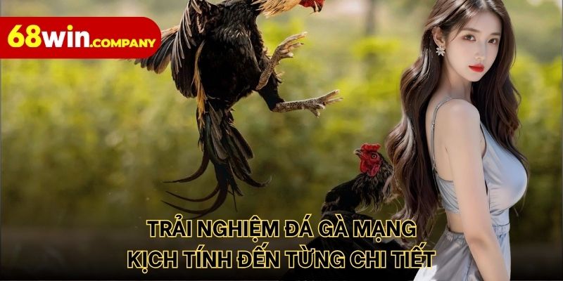 Trải nghiệm đá gà mạng kịch tính đến từng chi tiết