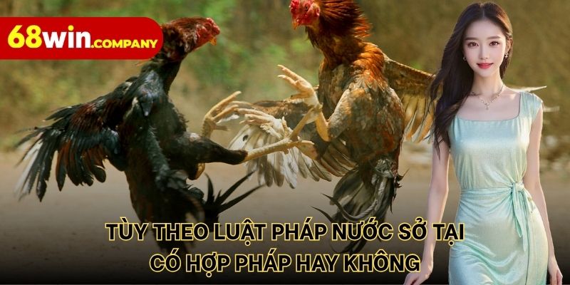 Tùy theo luật pháp nước sở tại có hợp pháp hay không